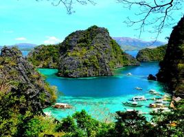  Terrain for sale in Coron, Palawan, Coron