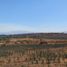 在墨西哥出售的 土地, Tonala, Jalisco, 墨西哥