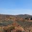  Land for sale in Tonala, Jalisco, Tonala