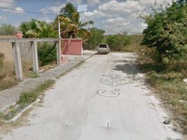 2 Schlafzimmer Haus zu verkaufen in Tizimin, Yucatan, Tizimin