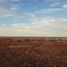  Land for sale in Mexicali, Baja California, Mexicali