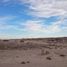  Land for sale in Mexicali, Baja California, Mexicali