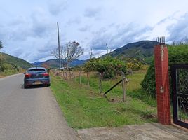 4 Habitación Villa en venta en Urrao, Antioquia, Urrao