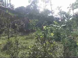  Land for sale in Bojong, Purwakarta, Bojong