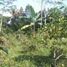  Land for sale in Bojong, Purwakarta, Bojong