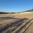  Land for rent in Hermosillo, Sonora, Hermosillo