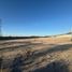  Land for rent in Hermosillo, Sonora, Hermosillo