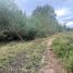  Terreno (Parcela) en venta en Bulnes, Diguillín, Bulnes