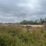  Land for sale in Bulnes, Nuble, Bulnes