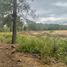  Terreno (Parcela) en venta en Bulnes, Diguillín, Bulnes