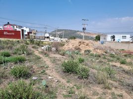  Grundstück zu verkaufen in Pachuca De Soto, Hidalgo, Pachuca De Soto