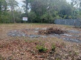  Land for sale in Western Visayas, San Jose, Antique, Western Visayas