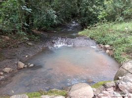  Terreno (Parcela) en venta en La Laguna, San Carlos, La Laguna