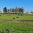  Land for sale in Chile, Coronel, Concepción, Biobío, Chile