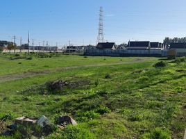  Land for sale in Chile, Coronel, Concepción, Biobío, Chile