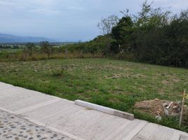  Terreno (Parcela) en venta en Guadalajara De Buga, Valle Del Cauca, Guadalajara De Buga