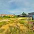  Land for sale in Turbana, Bolivar, Turbana