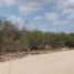  Land for sale in Merida, Yucatan, Merida