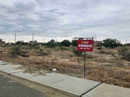  Grundstück zu verkaufen in Castilla, Piura, Castilla, Piura, Piura