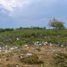  Terreno (Parcela) en venta en Lapu-Lapu City, Central Visayas, Lapu-Lapu City, Cebu