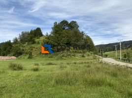 Terreno (Parcela) en venta en Chile, Mariquina, Valdivia, Los Ríos, Chile