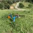  Terreno (Parcela) en venta en Chile, Mariquina, Valdivia, Los Ríos, Chile