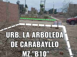  Grundstück zu verkaufen in Carabayllo, Lima, Carabayllo, Lima, Lima, Peru
