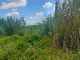  Terreno (Parcela) en venta en Bamban, Central Luzon, Bamban, Tarlac