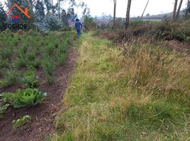  Land for sale in Imbabura, Otavalo, Otavalo, Imbabura