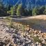  Terreno (Parcela) en venta en Chile, Aisen, Aisén, Aisén del General Carlos Ibáñez del Campo, Chile
