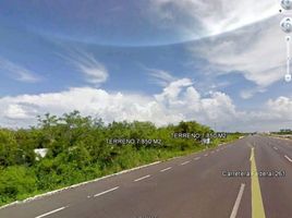 在Progreso, Yucatan出租的 土地, Progreso