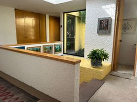 Maison 366 chambre à vendre à Naucalpan De Juarez, Mexico, Naucalpan De Juarez
