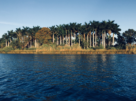 Terrain à vendre à Tuxpan, Veracruz, Tuxpan