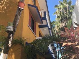 1 Habitación Apartamento en alquiler en Cozumel, Quintana Roo, Cozumel
