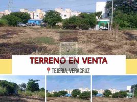  Land for sale in Manlio Fabio Altamirano, Veracruz, Manlio Fabio Altamirano