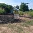  Land for sale in Manlio Fabio Altamirano, Veracruz, Manlio Fabio Altamirano