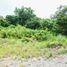  Land for sale in Malay, Aklan, Malay