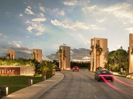  Grundstück zu verkaufen in Cozumel, Quintana Roo, Cozumel
