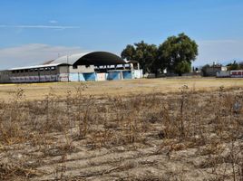  Terreno (Parcela) en venta en Nopalucan, Puebla, Nopalucan