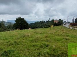  Terreno (Parcela) en venta en Guarne, Antioquia, Guarne