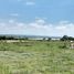  Terreno (Parcela) en venta en Huimilpan, Querétaro, Huimilpan