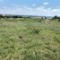  Terreno (Parcela) en venta en Huimilpan, Querétaro, Huimilpan