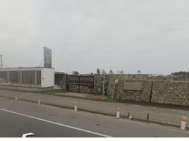  Terreno (Parcela) en venta en Asia, Lima, Asia