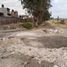  Terreno (Parcela) en venta en Tarimbaro, Michoacán, Tarimbaro, Michoacán