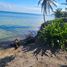  Terreno (Parcela) en venta en Othon P Blanco, Quintana Roo, Othon P Blanco