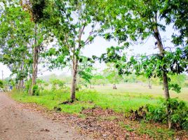  Grundstück zu verkaufen in Palawan, Mimaropa, Puerto Princesa City