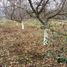  Terreno (Parcela) en venta en Melipilla, Santiago, Maria Pinto, Melipilla