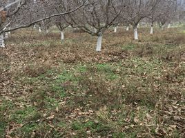  Terreno (Parcela) en venta en Melipilla, Santiago, Maria Pinto, Melipilla