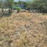 Land for sale in Jalpan De Serra, Queretaro, Jalpan De Serra