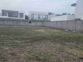  Terreno (Parcela) en venta en Samborondón, Guayas, Samborondon, Samborondón